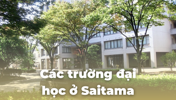 Các trường đại học ở Saitama Nhật Bản: danh sách chi tiết, học phí và chuyên ngành